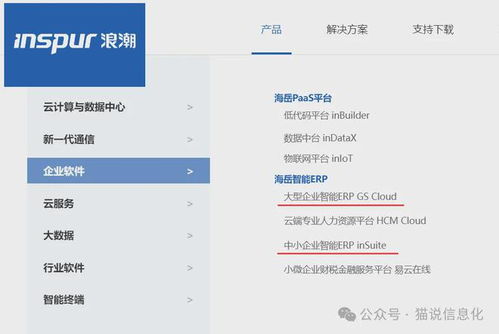 簡單談談erp軟件的替代